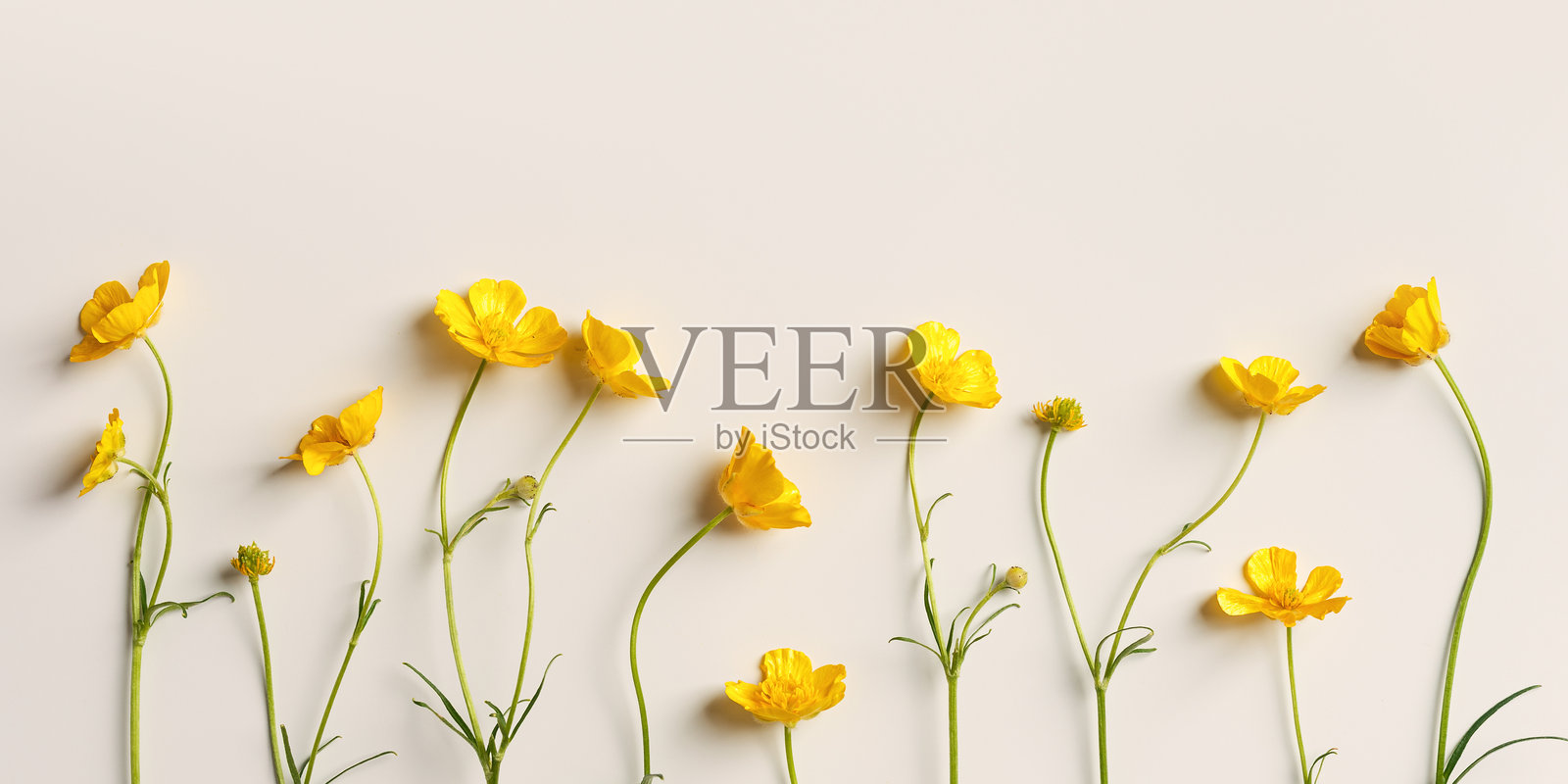 果果广告传媒
